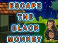 Trò chơi Escape The Black Monkey