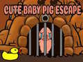 Trò chơi Cute baby Pig escape