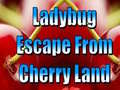 Trò chơi Ladybug Escape From Cherry Land