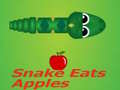 Trò chơi Snake Eats Apple