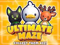 Trò chơi Ultimate Maze! Collect Them All!