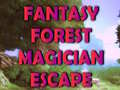 Trò chơi Fantasy Forest Magician Escape