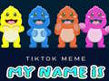 Trò chơi TikTok Meme My Name Is