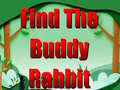 Trò chơi Find The Buddy Rabbit