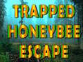 Trò chơi Trapped Honeybee Escape