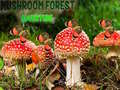 Trò chơi Mushroom Forest Adventure