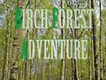 Trò chơi Birch Forest Adventure