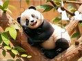 Trò chơi Jigsaw Puzzle: Panda On Tree