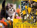 Trò chơi Puzzle Sliding Kittens