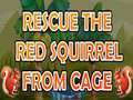 Trò chơi Rescue The Red Squirrel From Cage