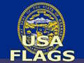 Trò chơi Usa Flags 