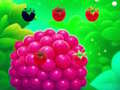 Trò chơi Sweet Raspberry
