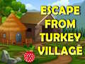 Trò chơi Escape From Turkey Village
