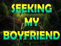 Trò chơi Seeking My Boyfriend