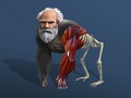 Trò chơi Idle Evolution From Cell To Human