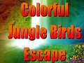 Trò chơi Colorful Jungle Birds Escape
