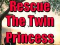 Trò chơi Rescue The Twin Princess