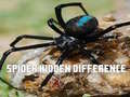 Trò chơi Spider Hidden Difference