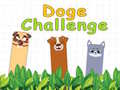 Trò chơi Doge Challenge
