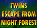 Trò chơi Twins Escape From Night Forest