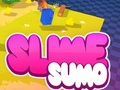 Trò chơi Sumo Slime 3D