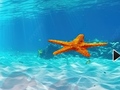 Trò chơi Escape From Underwater Starfish