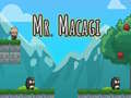 Trò chơi Mr Macagi