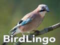 Trò chơi BirdLingo