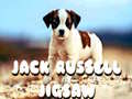 Trò chơi Jack Russell Jigsaw