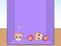 Trò chơi Evolution of Cat Memes