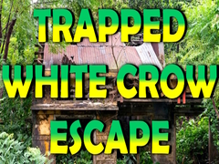 Trò chơi Trapped White Crow Escape