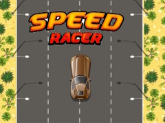Trò chơi Speed Racer