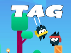 Trò chơi Tag