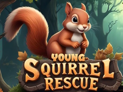 Trò chơi Young Squirrel Rescue