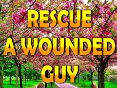 Trò chơi Rescue A Wounded Guy