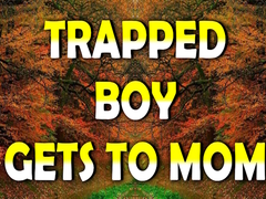 Trò chơi Trapped Boy Gets To Mom