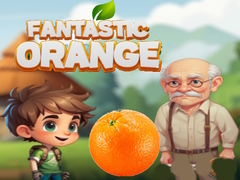 Trò chơi Fantastic Orange