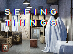 Trò chơi Seeing Things
