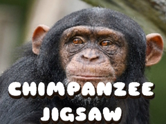 Trò chơi Chimpanzee Jigsaw