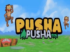 Trò chơi Pusha Pusha