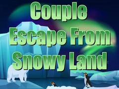 Trò chơi Couple Escape from Snowy Land