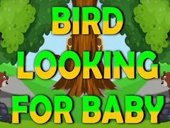 Trò chơi Bird Looking For Baby