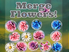 Trò chơi Merge Flowers!