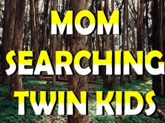 Trò chơi Mom Searching Twin Kids