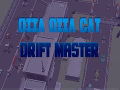 Trò chơi Oiia Oiia Cat Drift Master