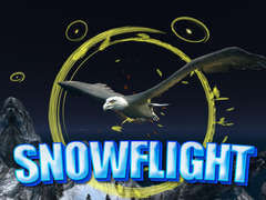 Trò chơi Snowflight