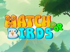 Trò chơi Match Pop Birds