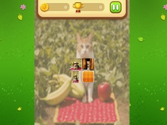 Trò chơi Farm Cat Memory Match