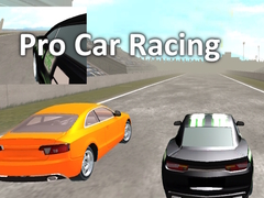 Trò chơi Pro Car Racing