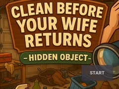 Trò chơi Clean Before Your Wife Returns Hidden Object